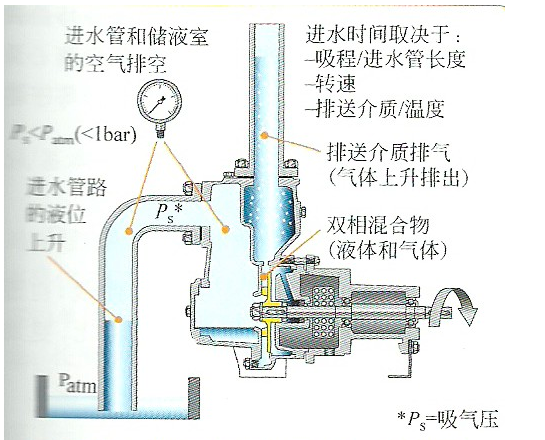 自吸泵工作原理圖之動(dòng)態(tài)氣液分離路徑圖